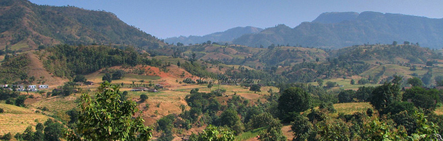 Shoolpaneshwar Sanctuary